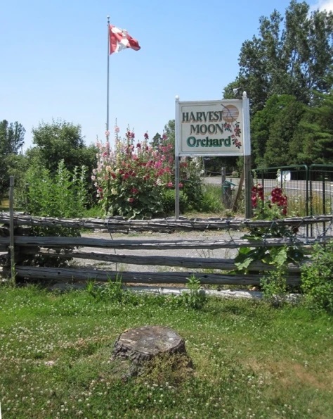The entrance to harvest Moon Orchard.